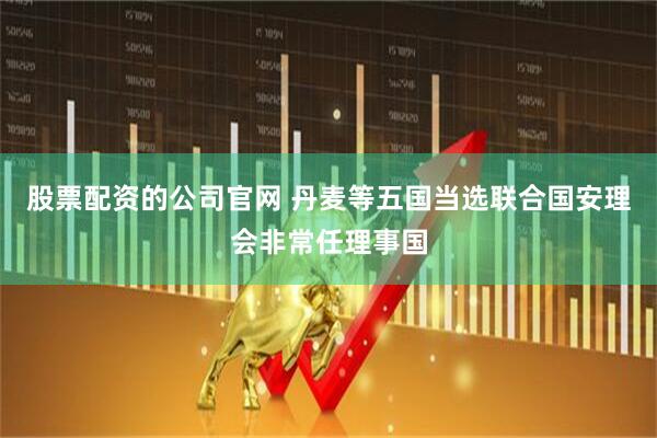 股票配资的公司官网 丹麦等五国当选联合国安理会非常任理事国